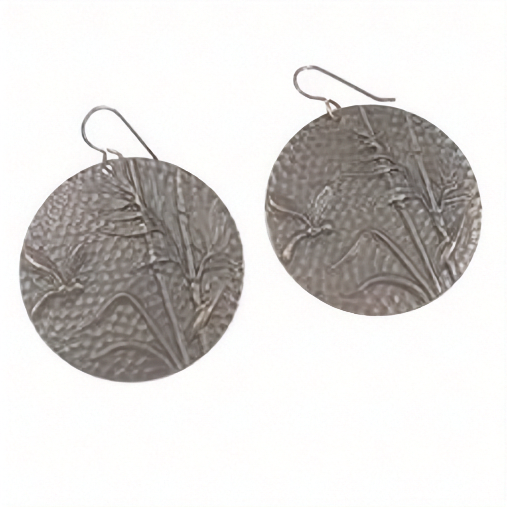 Bold Brass Dragonfly Coin Earrings