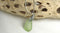 Pale green Pendant Necklace SeaGlass
