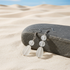 Frosted Sea Glass Teardrop Earrings