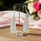 Silver Chain Tassel Drop Earrings