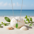 Green Teardrop  Sea Glass Pendant Necklace