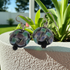 Black & Green Handmade Artisan Bead  Earrings