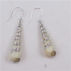 Buy natural shell earrings trimmed in silver