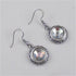 A/B Crystal & Silver Earrings - VP's Jewelry