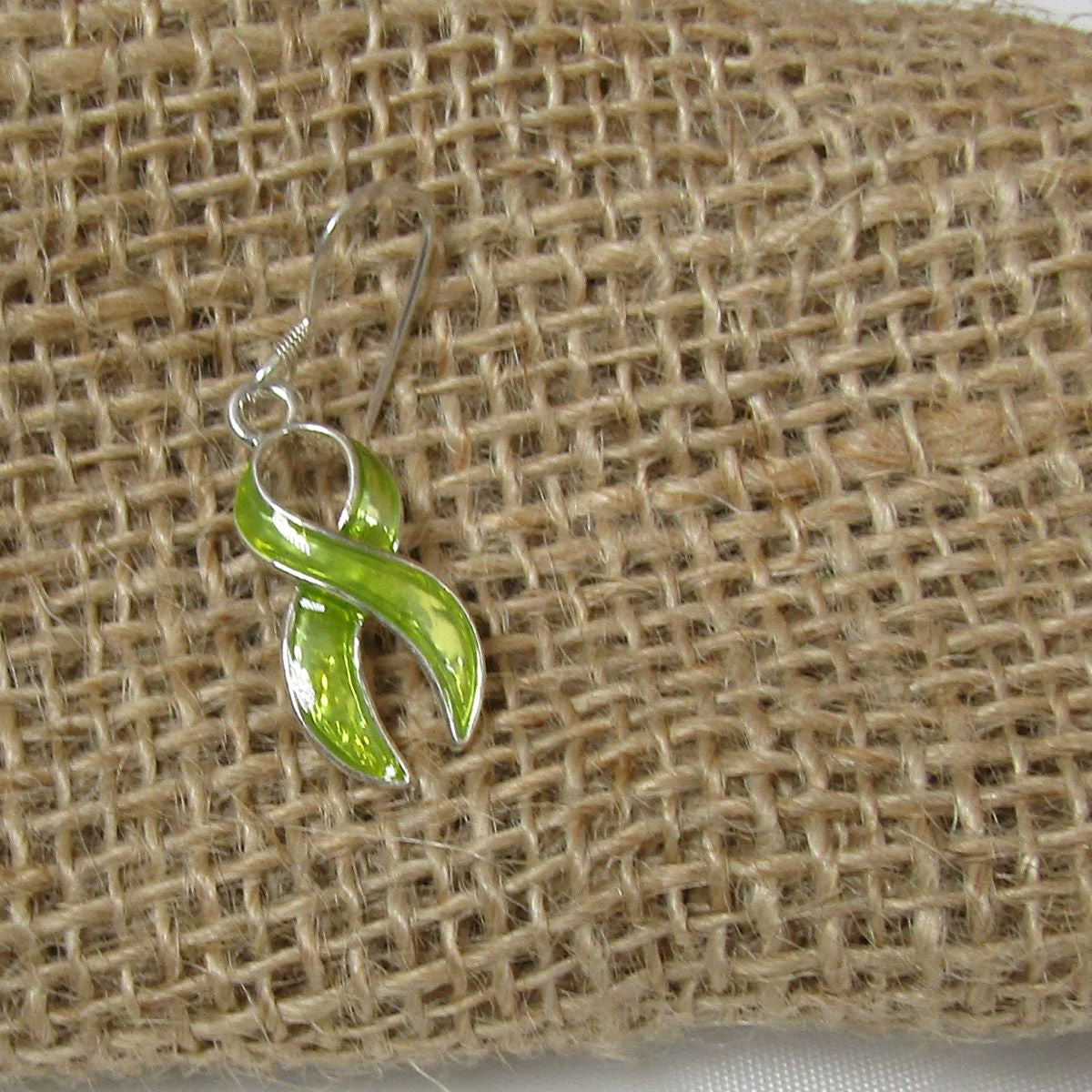 Awareness ribbon charm earrings - Earrings for a cause