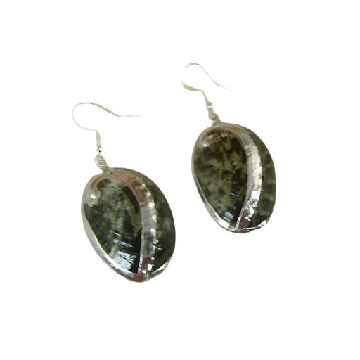 Abalone Sea Shell Drop Earrings - VP's Jewelry