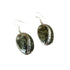 Abalone Sea Shell Drop Earrings - VP's Jewelry