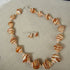 Cream & Tan Sea Shell Necklace & Earrings