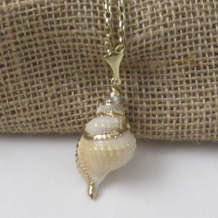 Cream Distorsio Shell Pendant Necklace on Gold Chain - VP's Jewelry